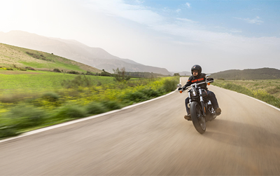 Harley-Davidson visual reference