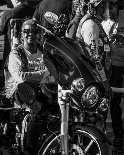 Harley-Davidson visual reference