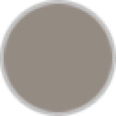 honda-jp-NT1100_color_01.png